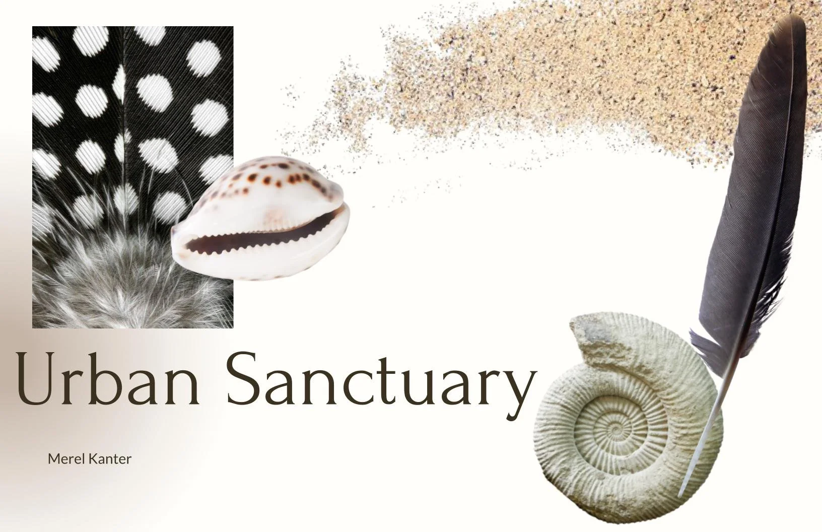 Kanter Solo Project 1.jpg