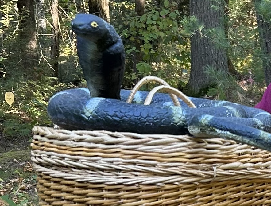 Snake 2.png