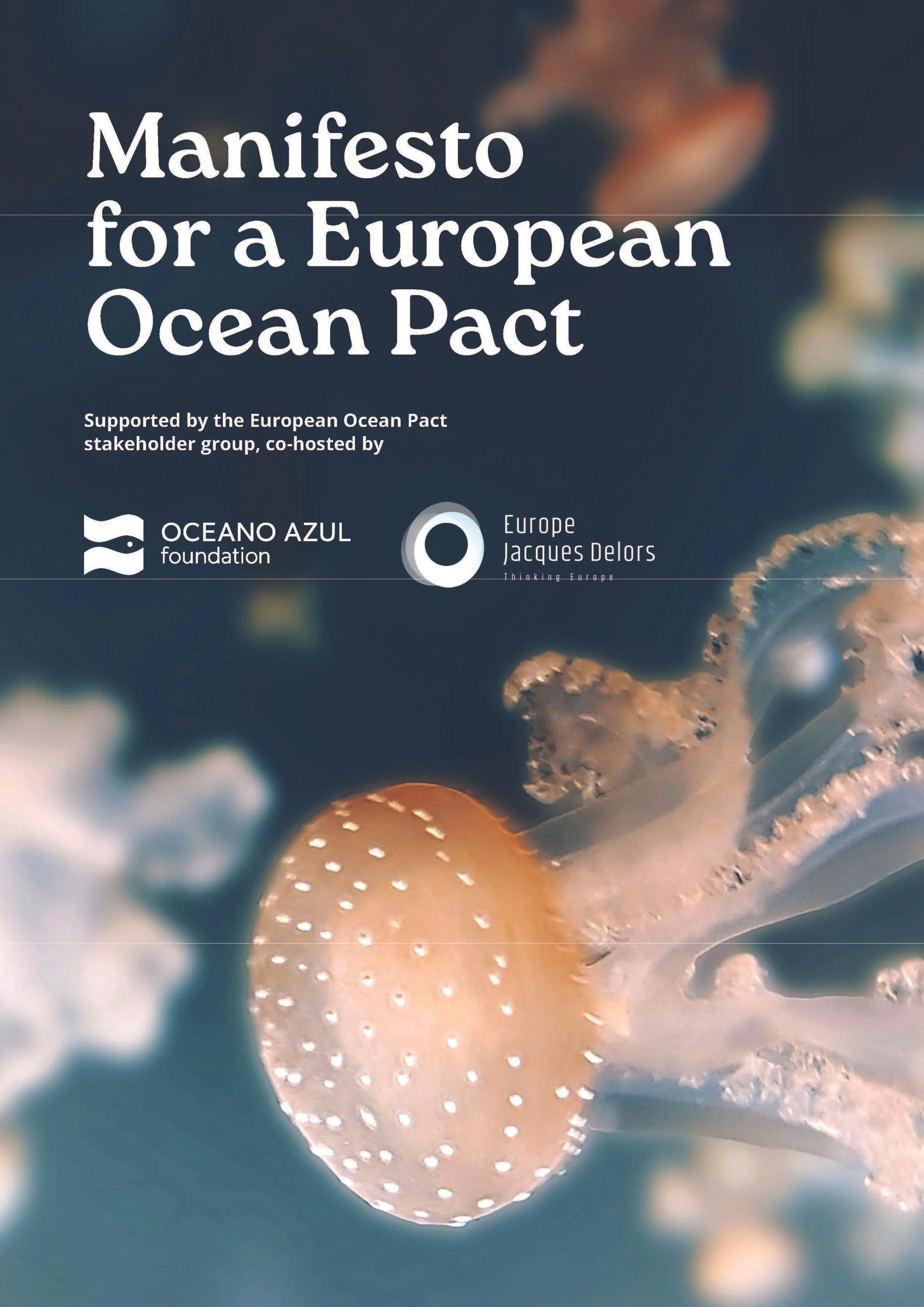 Manifesto for a European Ocean Pact