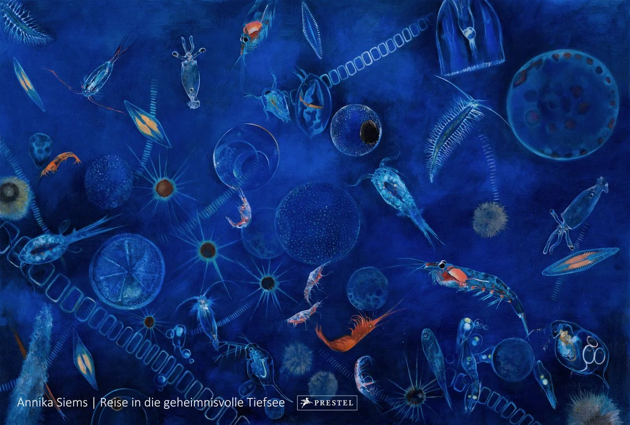 Parliamentary Ocean Evening