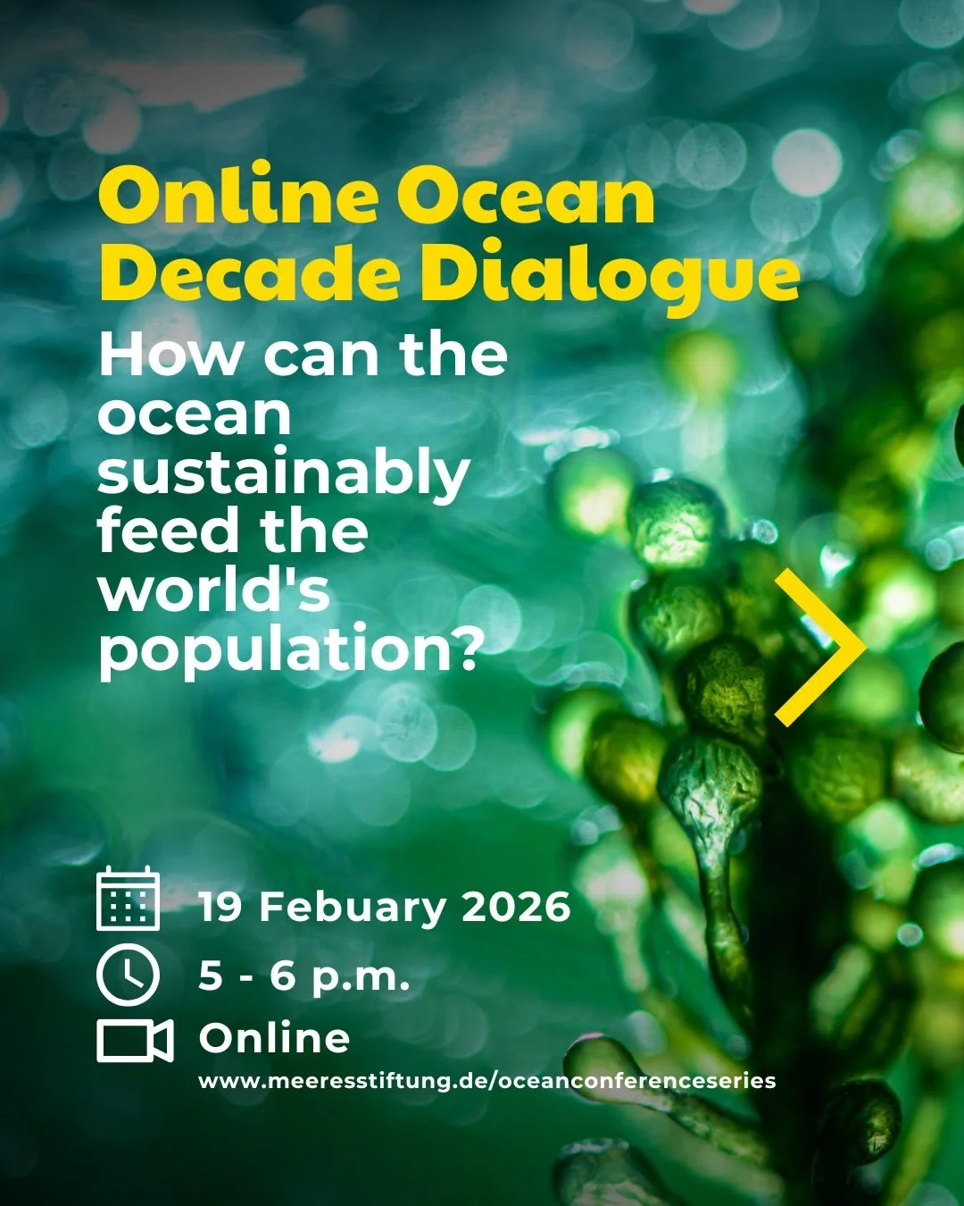 Join us for the Ocean Decade Dialogue: 19 February 2026, at 5 p.m. 

The focus will be on the third challenge of the decade: How can the ocean sustainably feed the world&rsquo;s population? Together with Laura Maragna from EU4Algae and Oliver Greve f