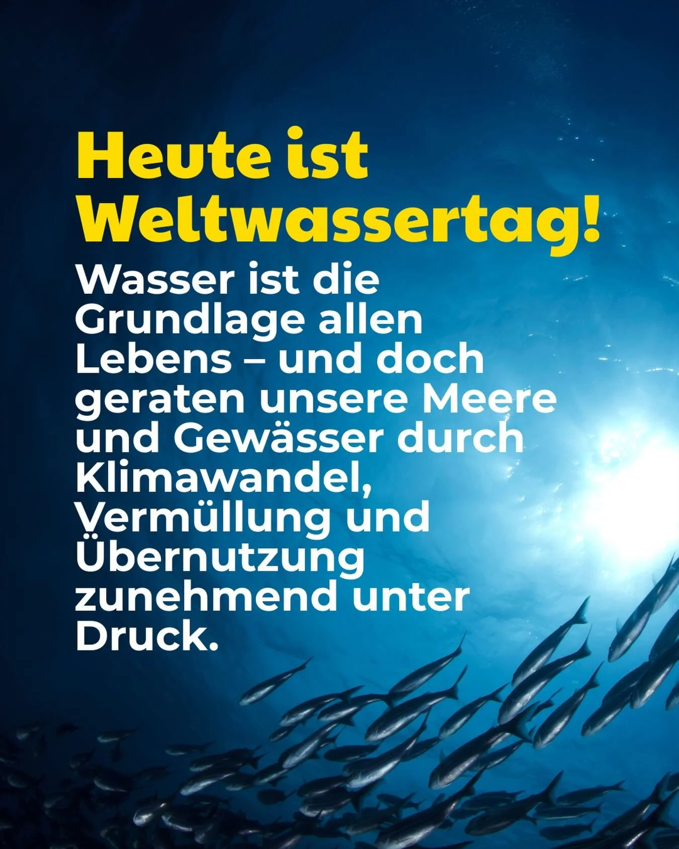 Als Deutsche Meeresstiftung setzen wir uns daf&uuml;r ein, den Ozean als zentralen Lebensraum unserer Erde zu sch&uuml;tzen. Unsere Mission: mehr Wissen, mehr Bewusstsein und mehr konkretes Handeln f&uuml;r gesunde Meere.

Meerespolitik &amp; Dialog
