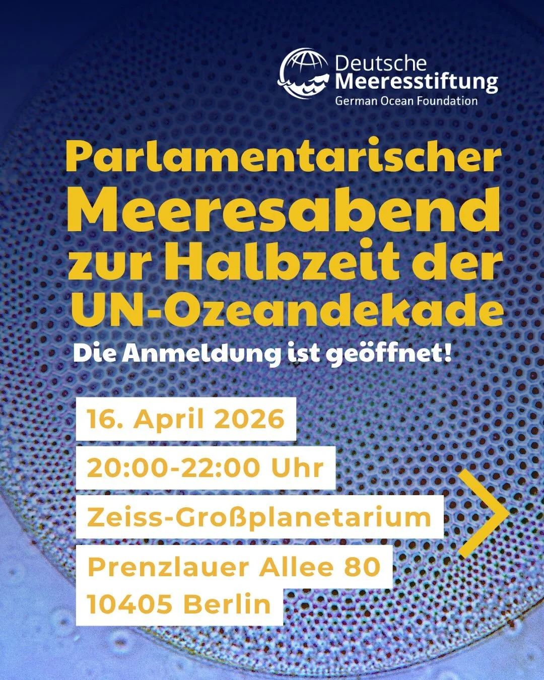 Parlamentarischer Meeresabend zur Halbzeit der UN-Ozeandekade in Deutschland
Die Deutsche Meeresstiftung und die Stiftung Planetarium Berlin laden &ndash; in Zusammenarbeit mit der Deutschen Gesellschaft Club of Rome e.V. und der DGVN &ndash; herzlic