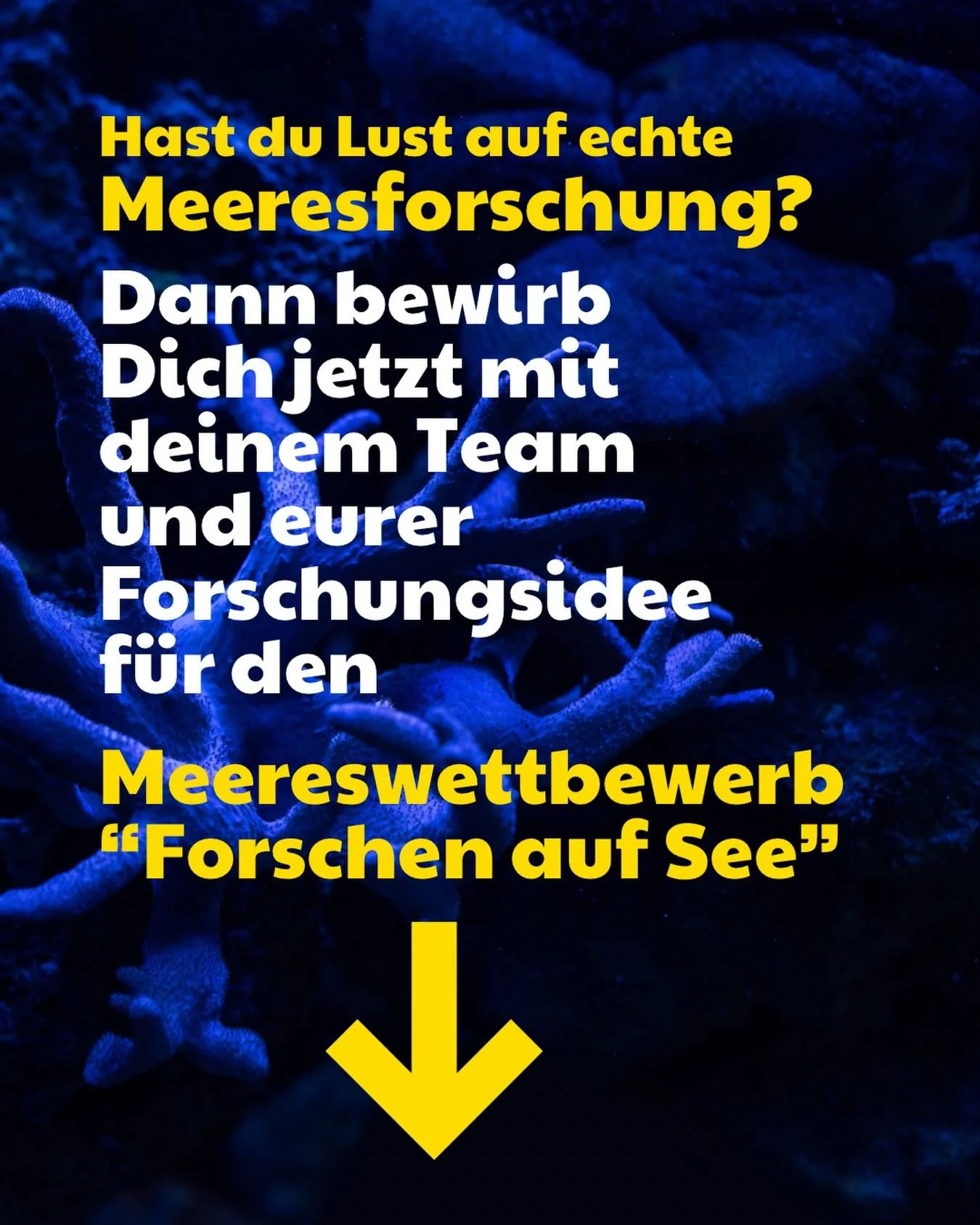Du hast Lust, einmal auf einem Forschungsschiff unterwegs sein? Dann bewirb dich!
Der Meereswettbewerb &bdquo;Forschen auf See&ldquo; der Deutschen Meeresstiftung sucht junge Forscherinnen und Forscher ab Klasse 9, die neugierig sind, Fragen stellen 