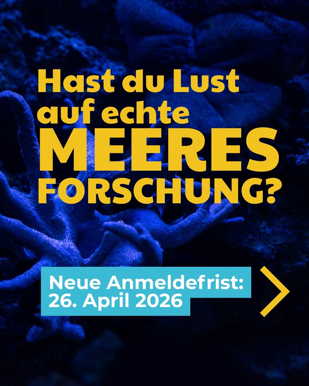 Verl&auml;ngerte Bewerbungsfrist f&uuml;r &bdquo;Forschen auf See&ldquo;!&nbsp;
&nbsp;
Gute Nachrichten f&uuml;r alle Nachwuchsforscher:innen: Die Bewerbungsfrist f&uuml;r den Meereswettbewerb 2026 &bdquo;Forschen auf See&ldquo; wurde verl&auml;ngert