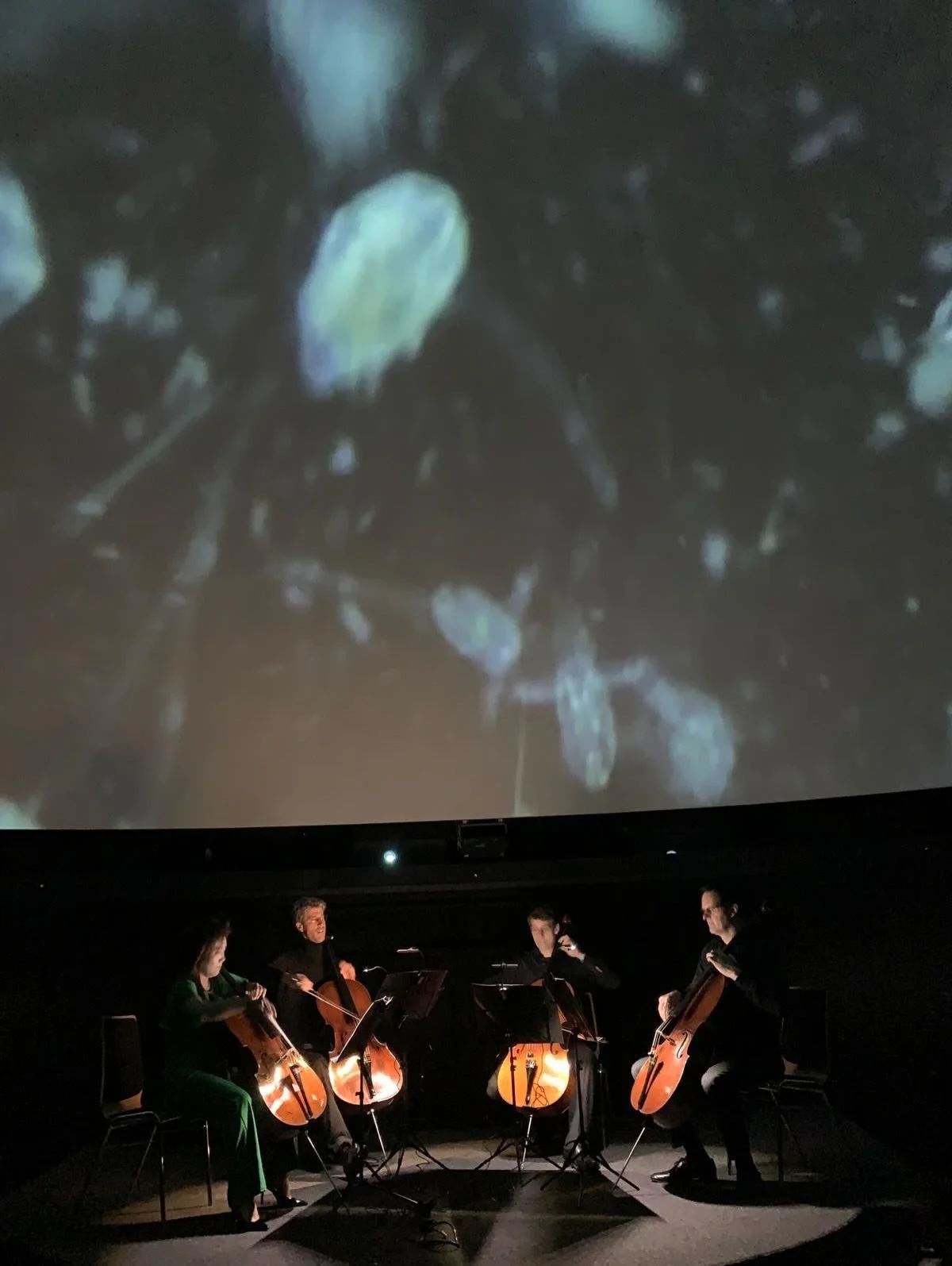 Parlamentarischer Meeresabend mit klarem politischem Signal zur Halbzeit der UN-Ozeandekade 

Beim Parlamentarischen Meeresabend der Deutschen Meeresstiftung wurde unmissverst&auml;ndlich deutlich: Politikerinnen und Politiker aller demokratischen Pa