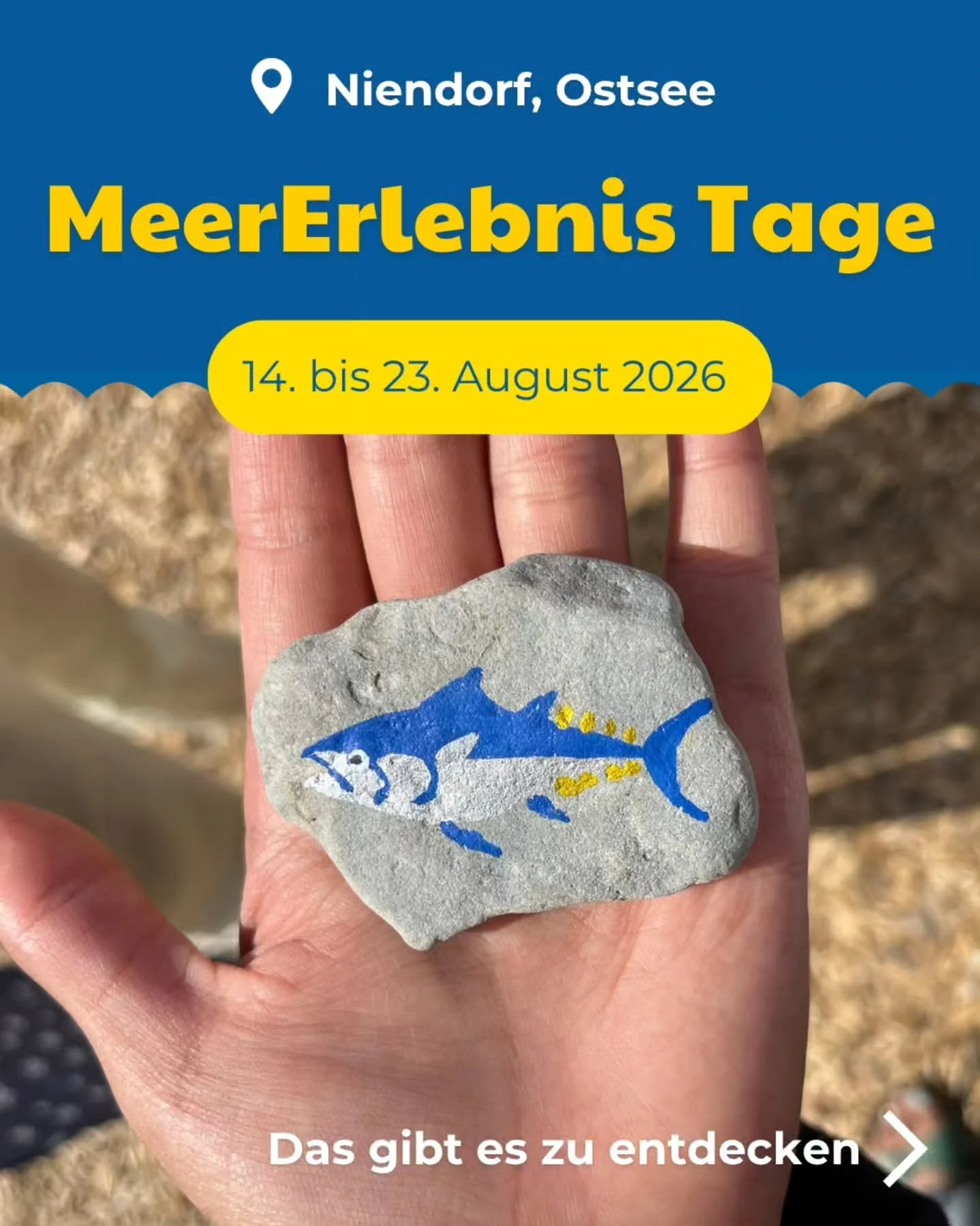 🐟☀ Erlebe die Ostsee hautnah bei den MeerErlebnis Tagen im Niendorfer Hafen!

meeresRaum 🌊 
🔹 t&auml;glich von 10 bis 18 Uhr, Gro&szlig;e Festwiese
🔹 Mitmach-Workshops, Seegras-Erlebniszelt mit Baltic Seagrass, Unterwasserschall und -kl&auml;nge 