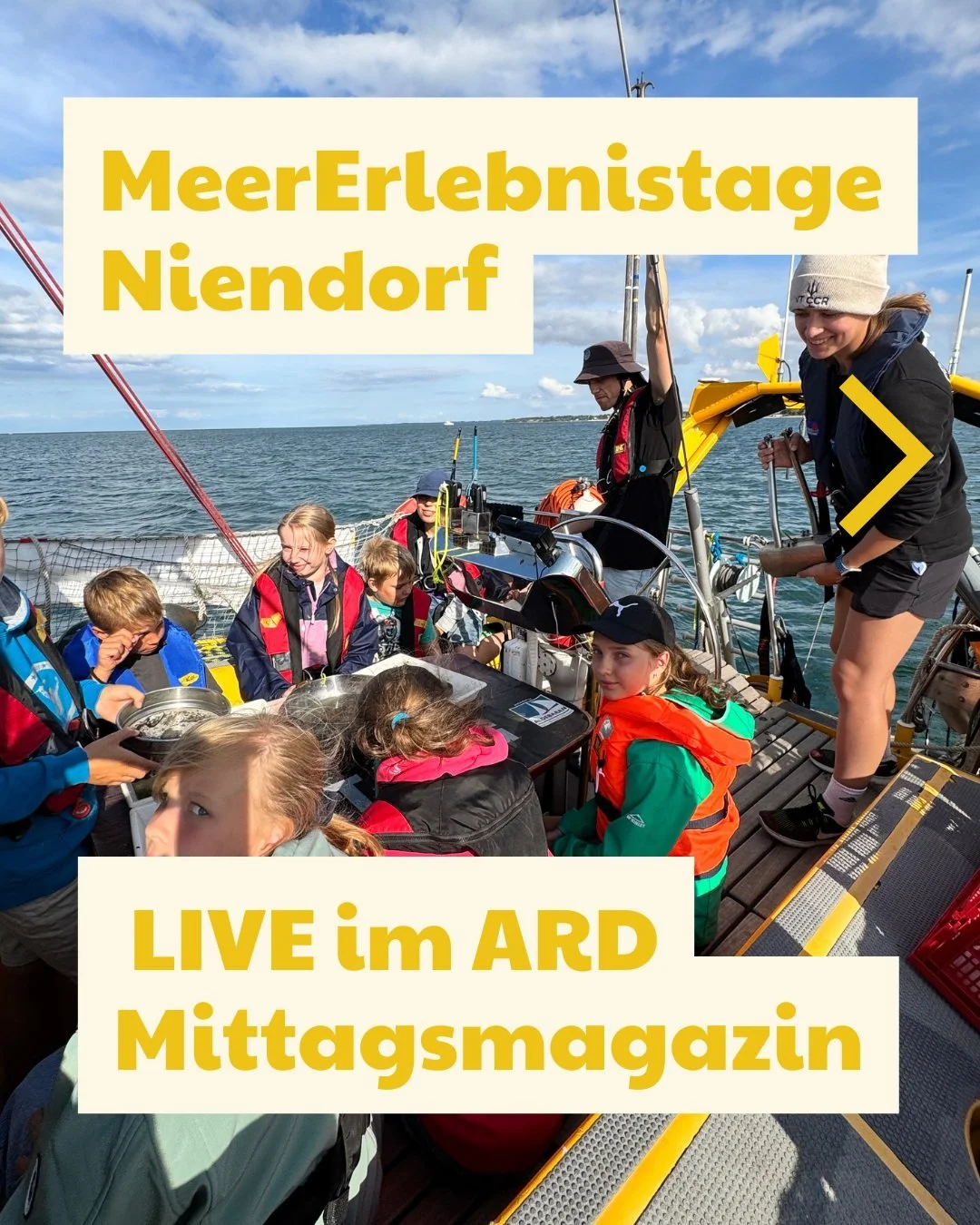 Heute live im ARD-Mittagsmagazin!

Heute berichtet das ARD-Mittagsmagazin live von den MeerErlebnistagen in Niendorf und vom Projekt Meereswettbewerb an Bord der ALDEBARAN.

📍 Live-Schalten im ARD-Mittagsmagazin 🕛 12:20 Uhr 🕧 12:25 Uhr

Erlebt, wi