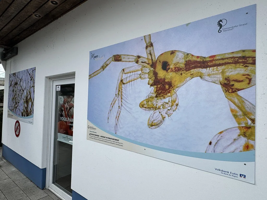 20261016_DMS_Meer_FotoAusstellungNiendorf_Mikroskopie (3)