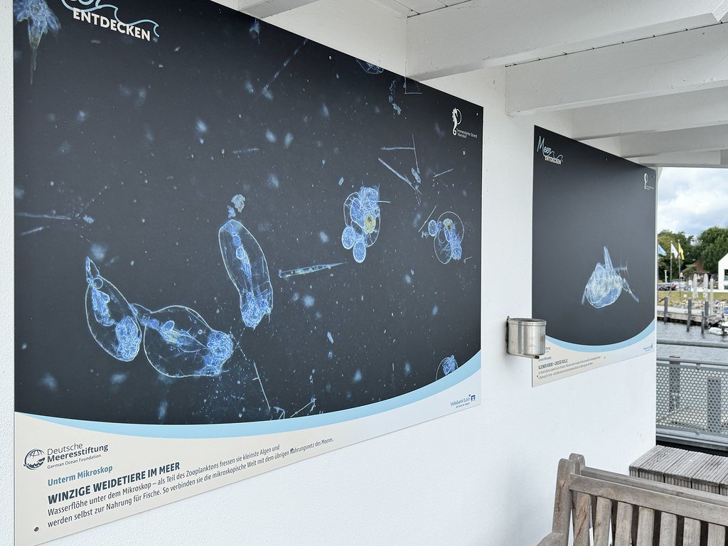 20261016_DMS_Meer_FotoAusstellungNiendorf_Mikroskopie (2)