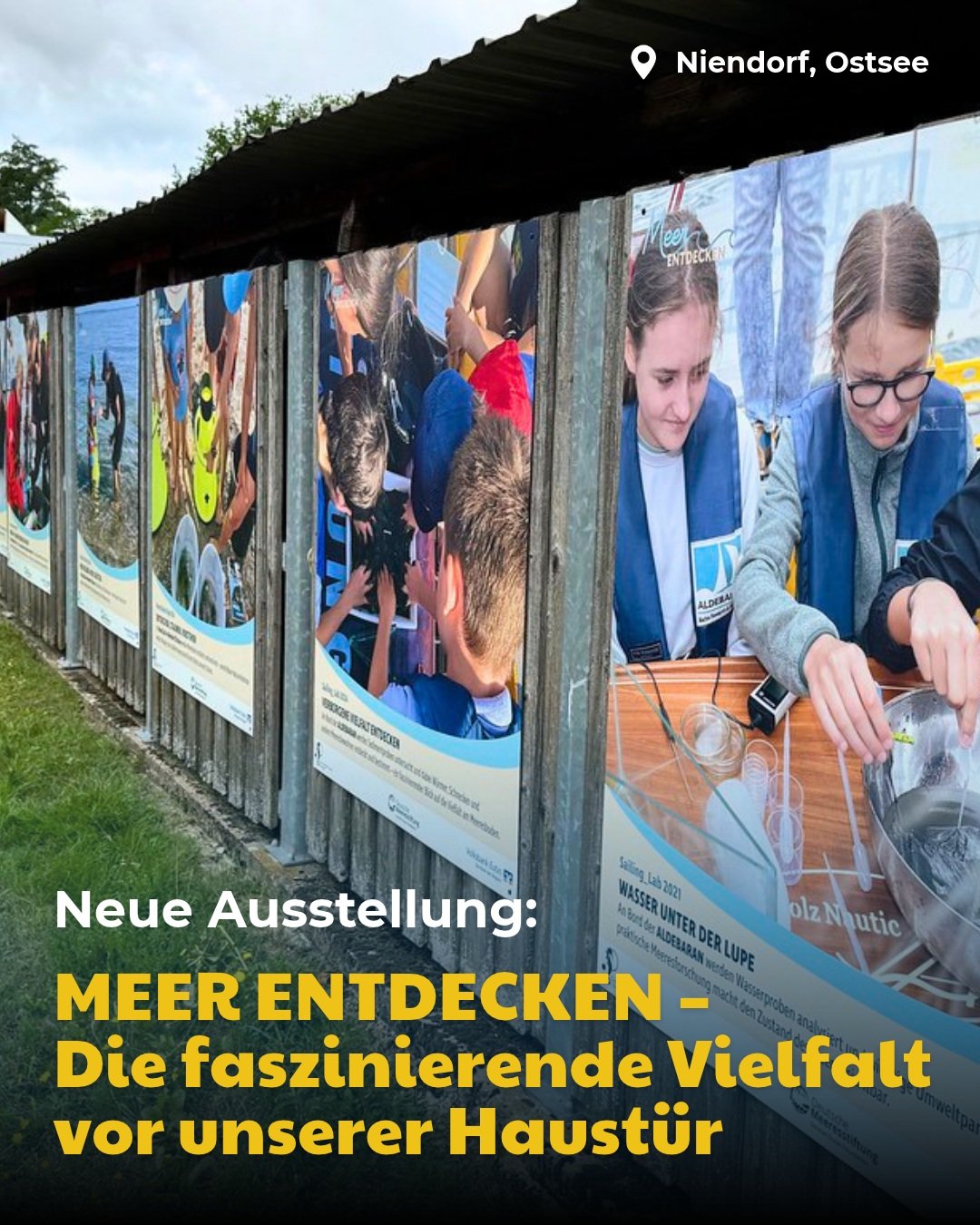 📸 Die Ausstellung &bdquo;MEER ENTDECKEN &ndash; Die faszinierende Vielfalt vor unserer Haust&uuml;r&ldquo; verbindet Wissenschaft, regionale Geschichten und Menschen, die sich f&uuml;r unsere Meere einsetzen und macht deutlich: Meeresschutz ist eine