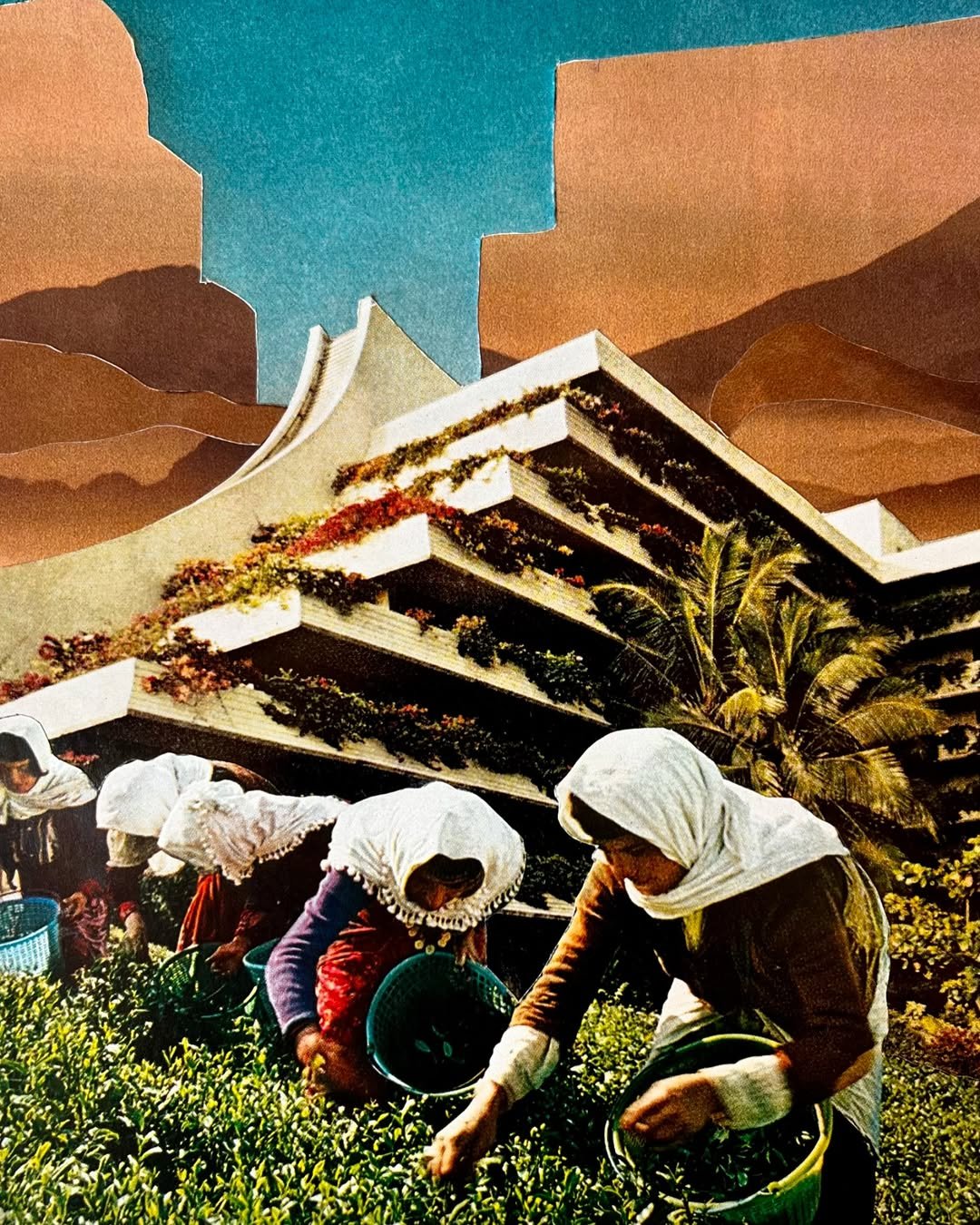 Tending the Temple (2024)
