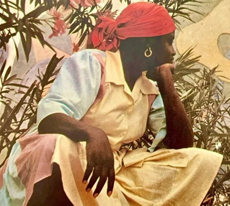 Survival Mode in the Haitian American Experience