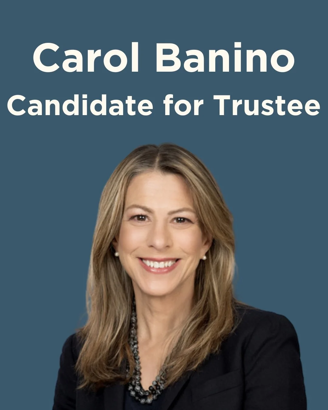 Meet Carol Banino, running for Village Trustee!

Carol and her family have been proud residents of Sleepy Hollow since 2005, when they moved from Manhattan (on Halloween, of all days!). She and her husband, Bart, raised their two daughters here, and 