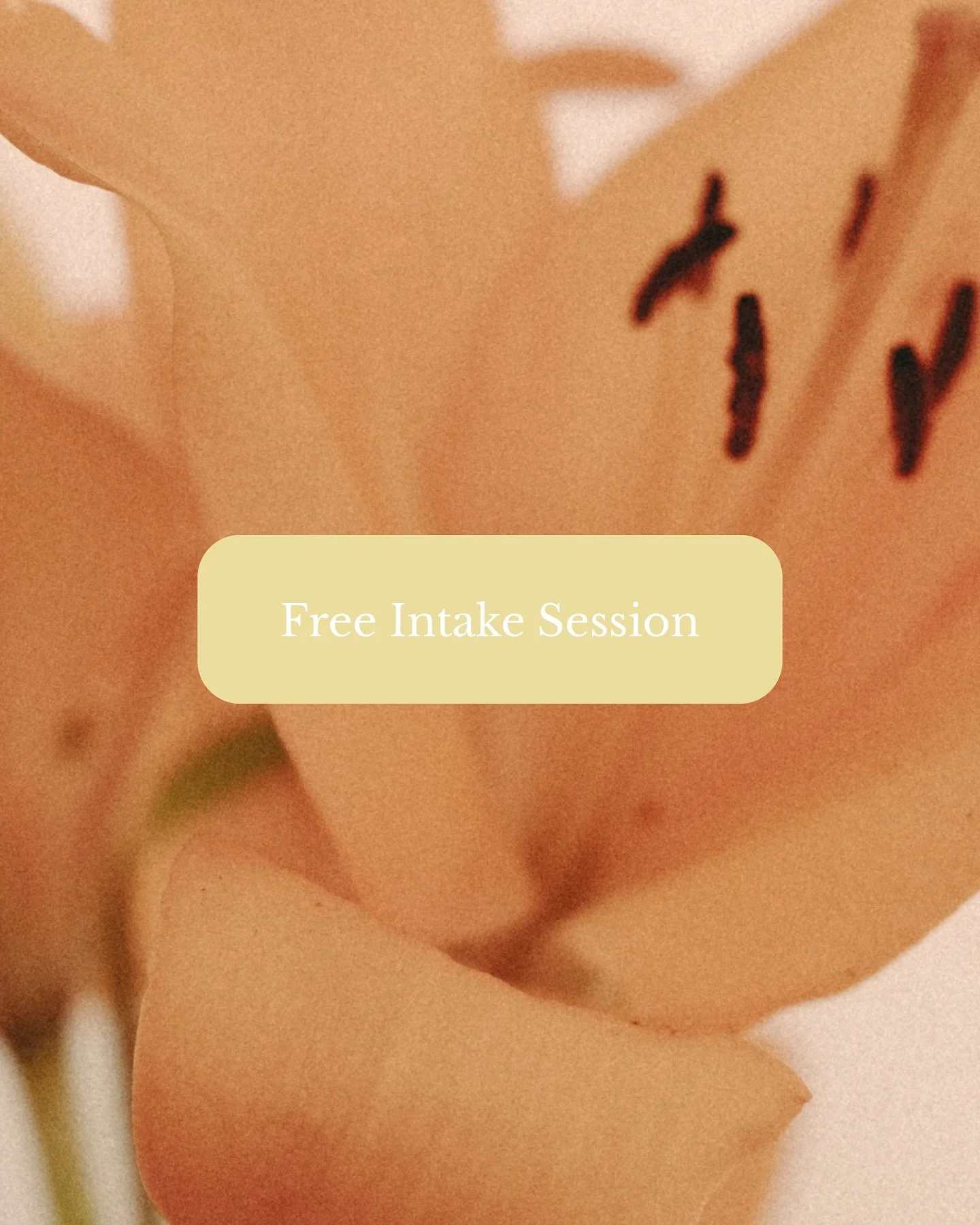 Every journey begins with a first step 🌱✨

At Beck on Track, your counseling path starts with a free intake session.
It&rsquo;s a gentle moment to meet, share your story, and see how we can move forward together.

The session is online, and lasts 30