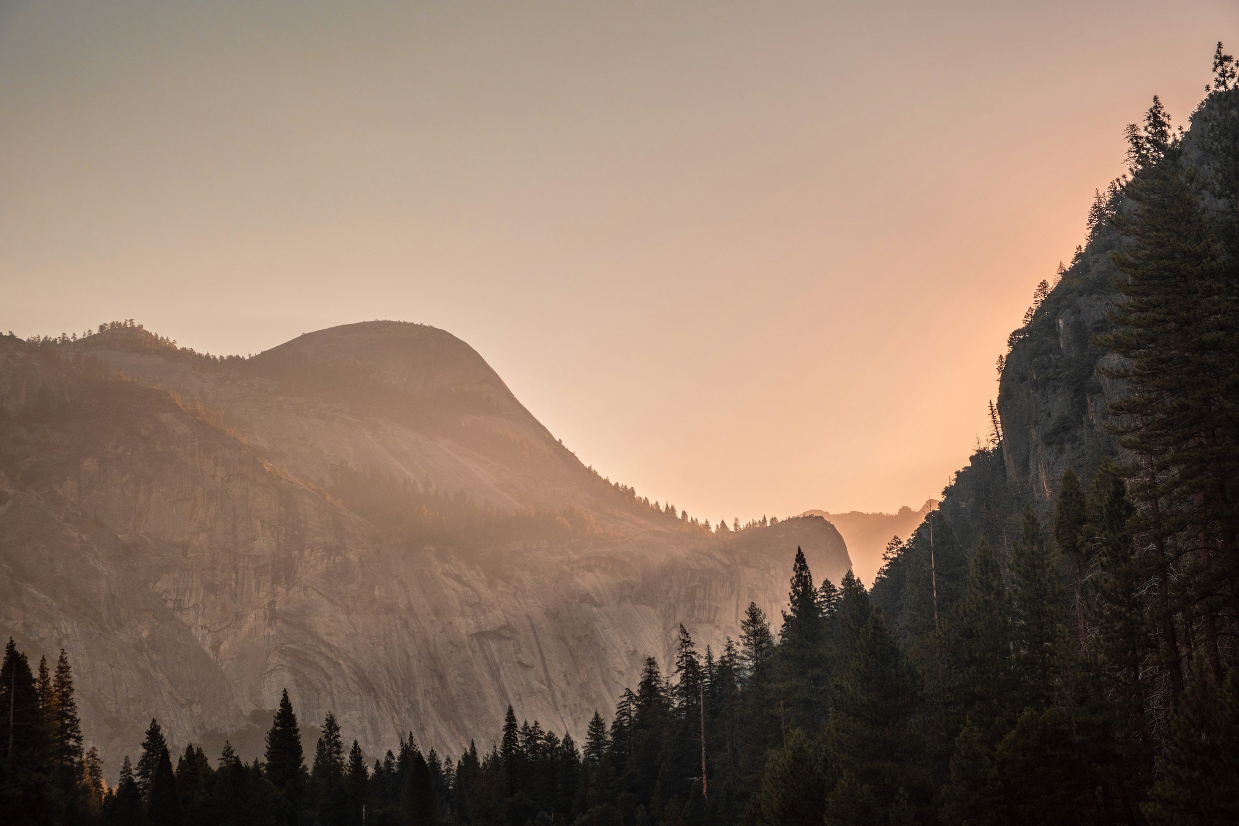 unsplash-image-zFZeklnMxOw.jpg