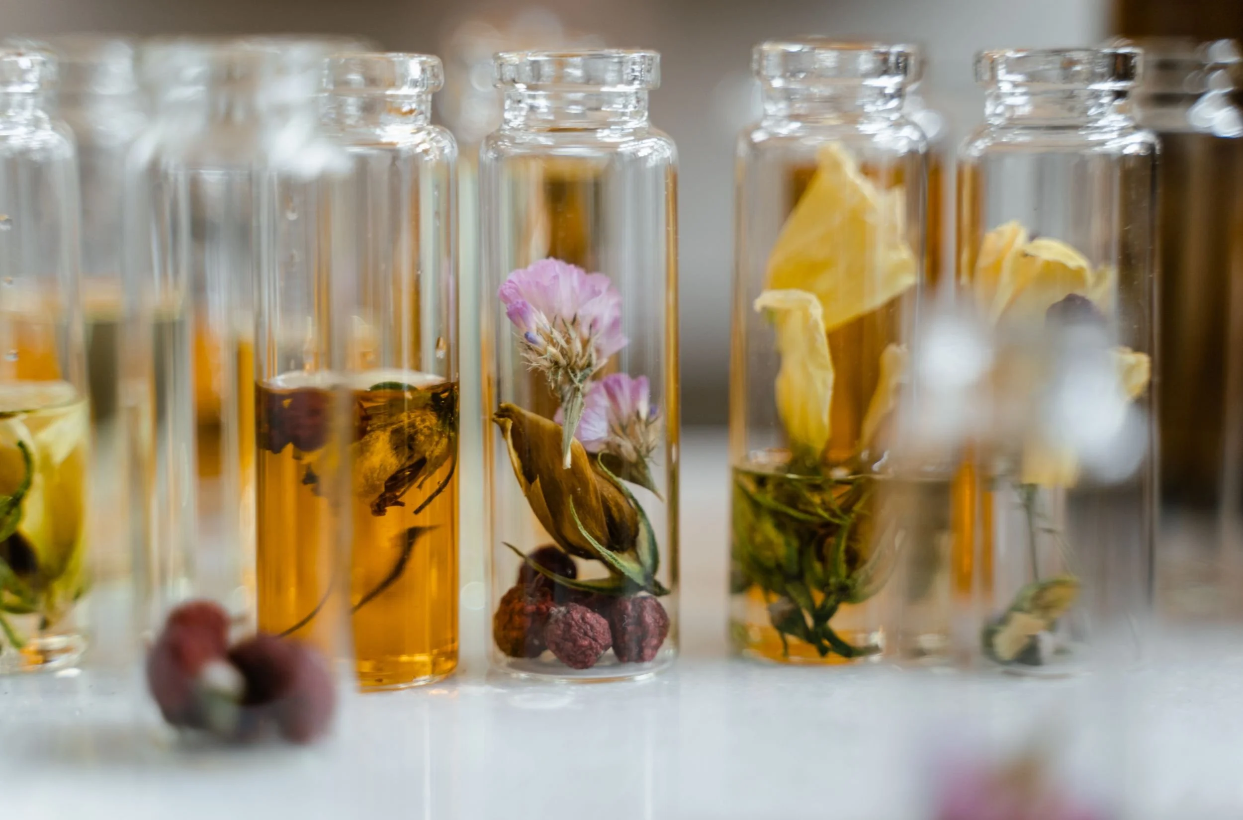 Test tubes filled with herbal infusions containing flowers and dried ingredients.