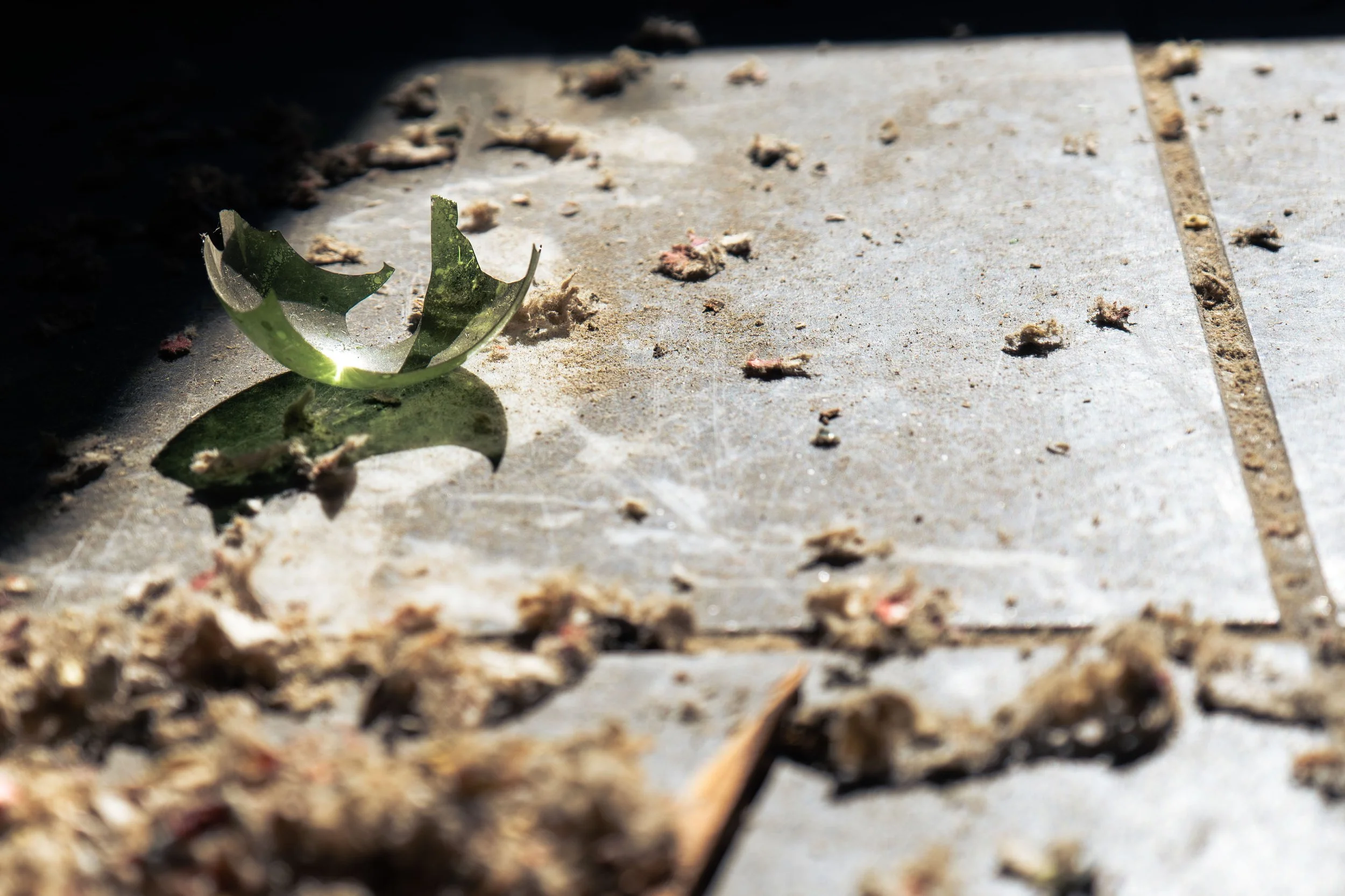 Fragment of shattered green glass bowl catching sunlight on tile floor — conceptual still-life by DRiccardi Photography.