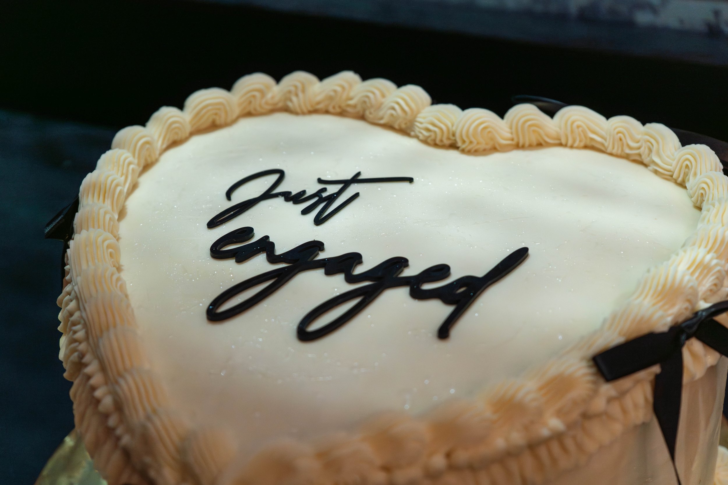 Heart-shaped cake with “Just Engaged” icing — engagement party dessert photography by DRiccardi Photography, Long Island NY.