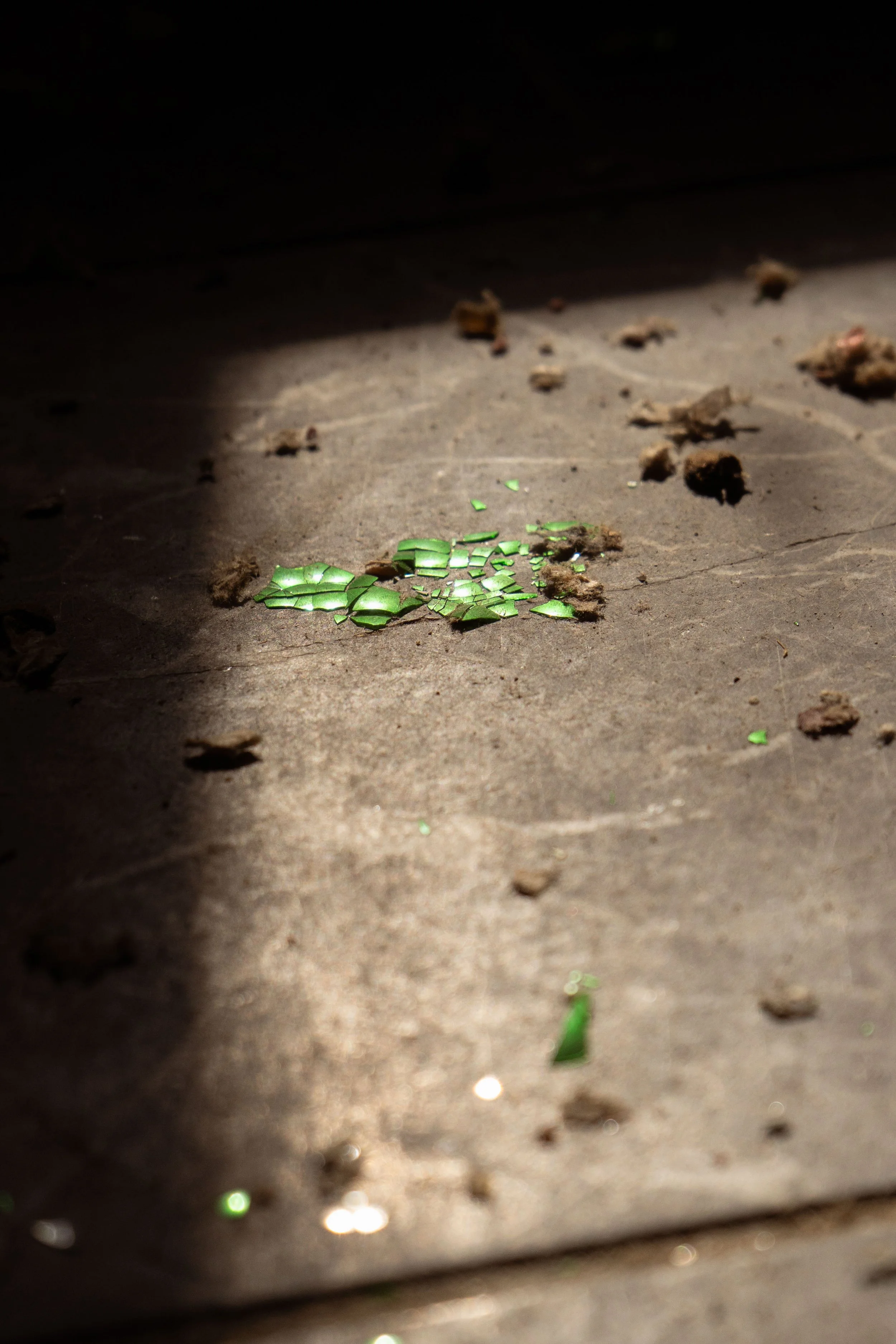 Broken green glass pieces lit by sunlight on dusty floor — fine-art detail photo by DRiccardi Photography.