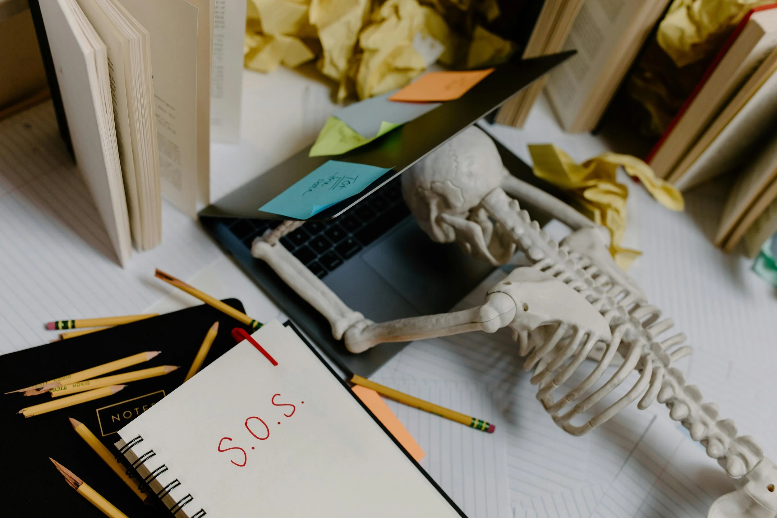 From Homework Battles to Homework Success