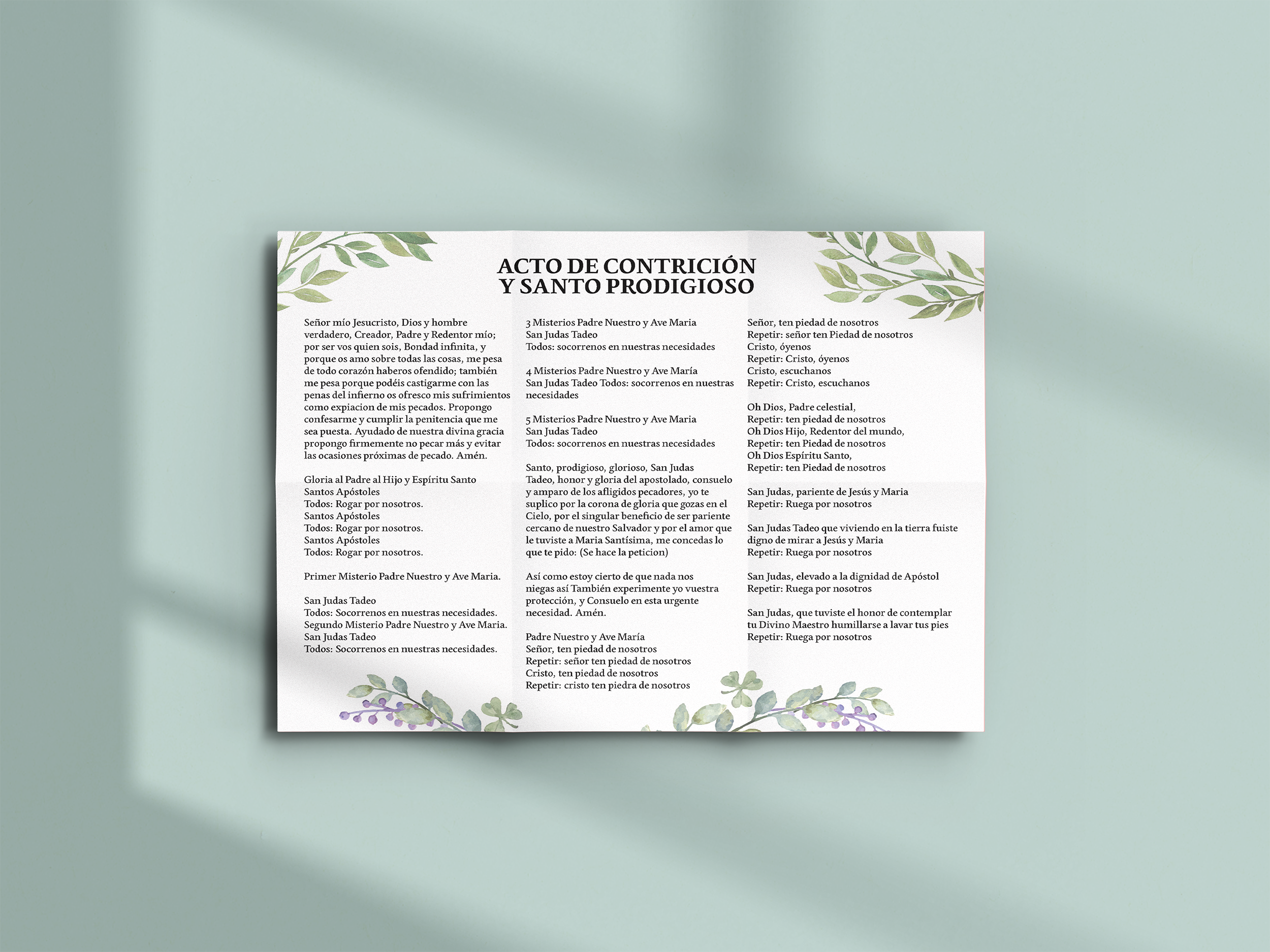Act of Contrition and Santo Prodigioso Prayers