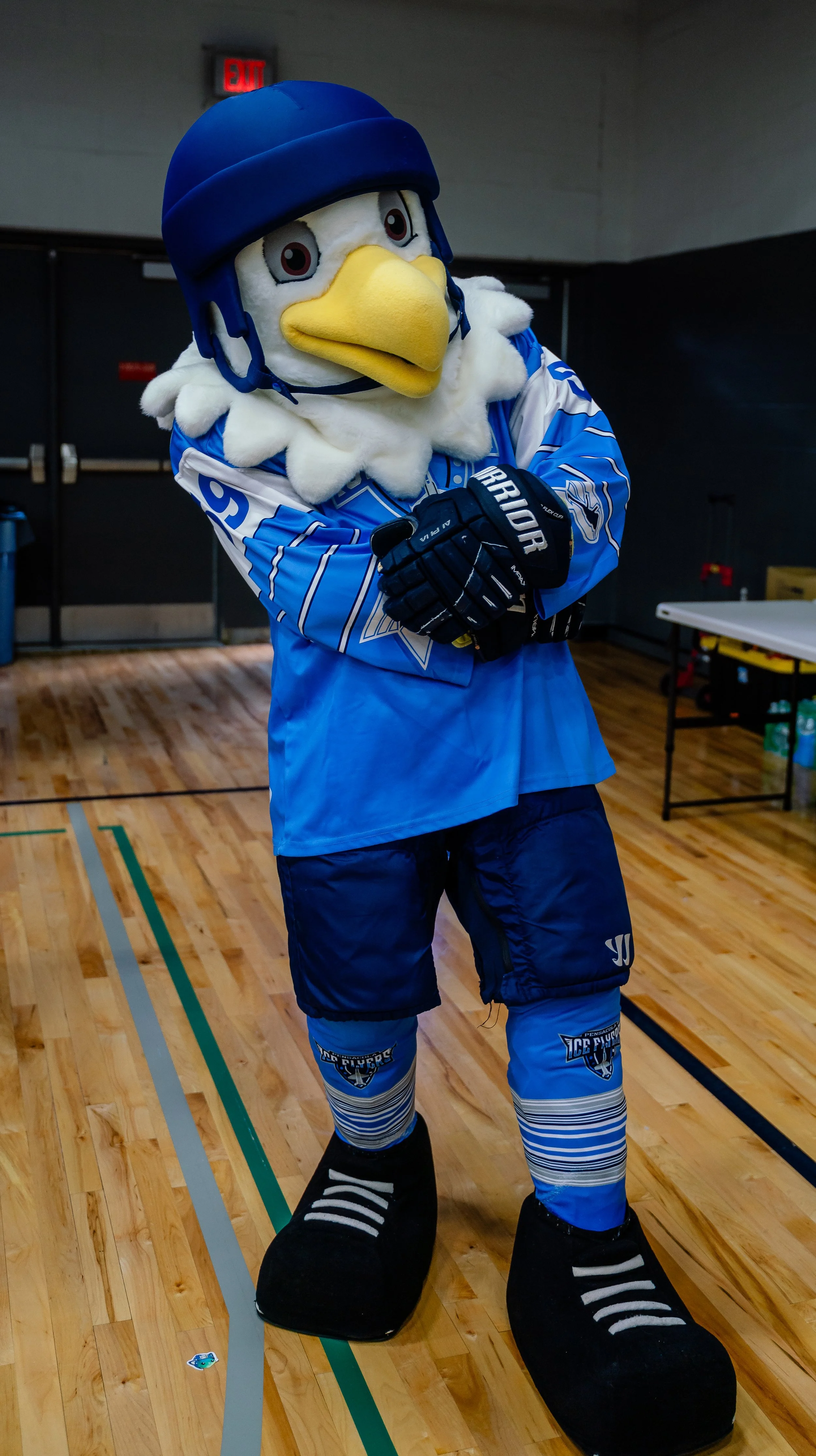 Mascot dressed as a hockey player with a large bird head, blue hockey jersey, gloves, and skates, standing on an indoor ice rink.