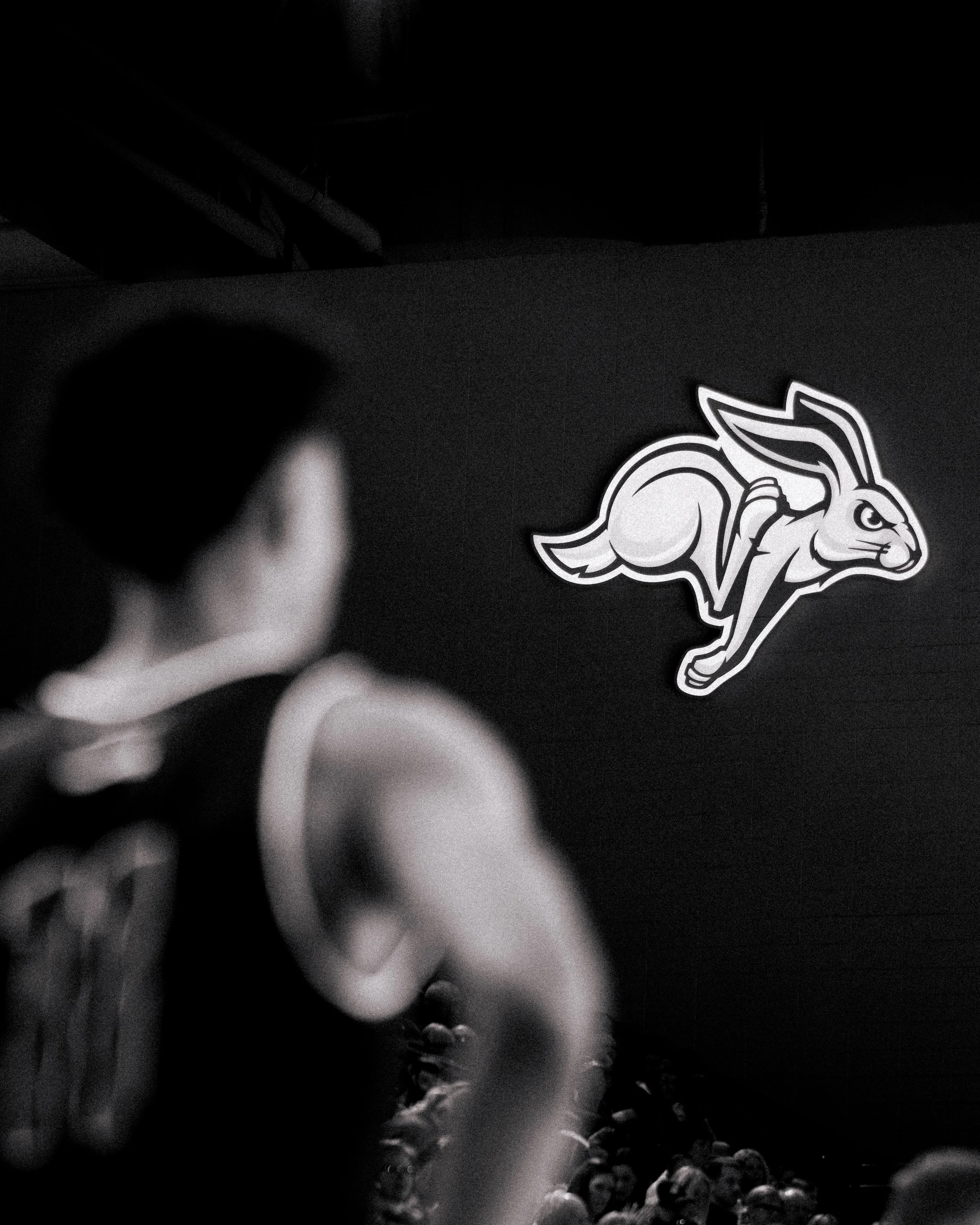 Website 24-25 MBB-33.jpg