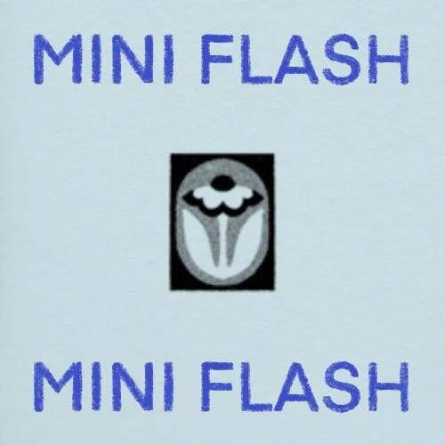 Flash répétable/repeatable • 2 po/in • 240$+tx