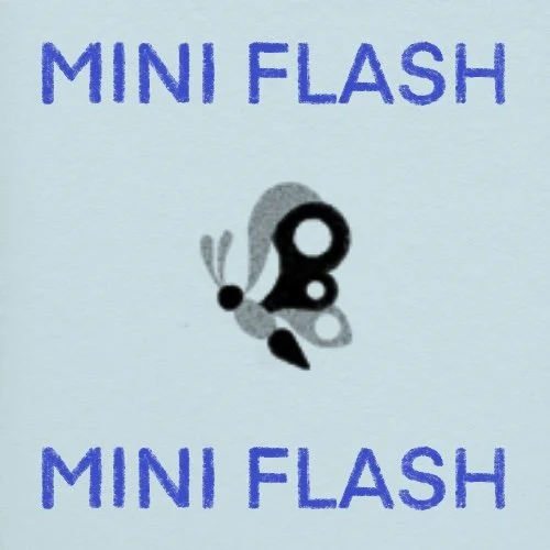 Flash répétable/repeatable • 2 po/in • 240$+tx