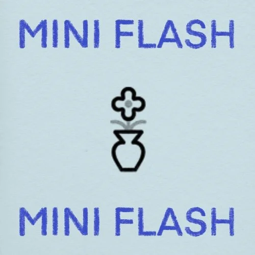 Flash répétable/repeatable • 2 po/in • 220$+tx