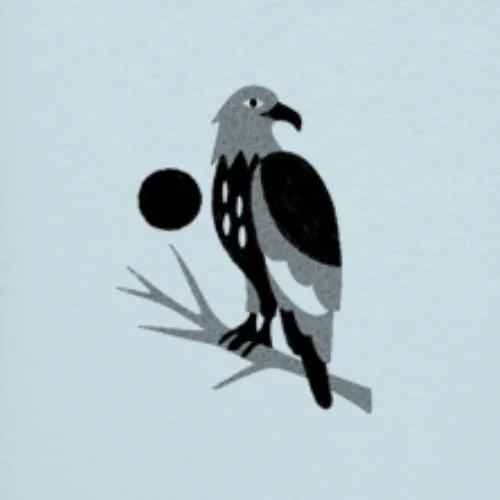 Flash répétable/repeatable • 3 - 4 po/in • 280 - 320$+tx