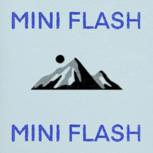 Flash répétable/repeatable • 2 po/in • 240$+tx