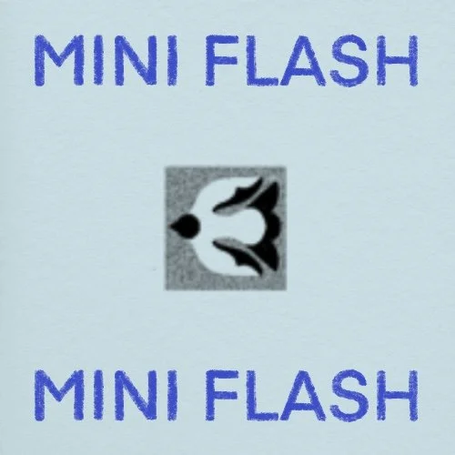 Flash répétable/repeatable • 1 - 2 po/in • 220$+tx