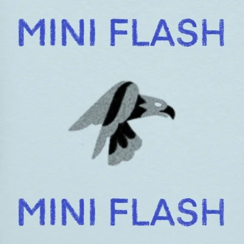 Flash répétable/repeatable • 2 po/in • 240$+tx