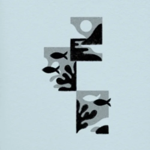 Flash unique/not repeatable • 3 - 4 po/in • 300 - 340$+tx