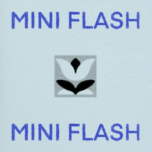 Flash répétable/repeatable • 1 - 2 po/in • 220$+tx