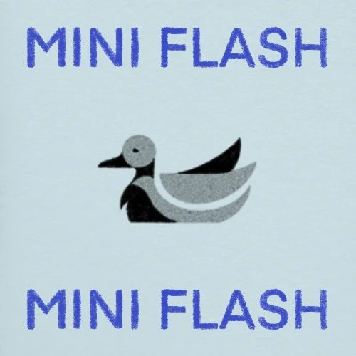 Flash répétable/repeatable • 2 po/in • 240$+tx