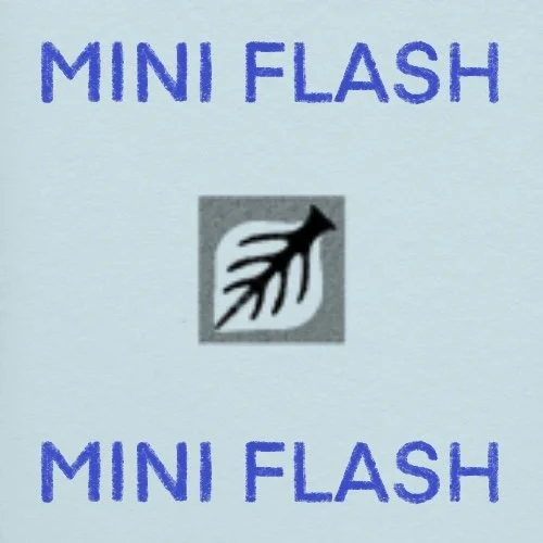 Flash répétable/repeatable • 1 - 2 po/in • 220$+tx