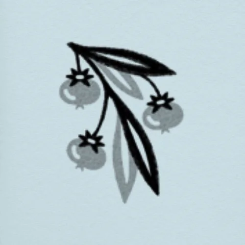 Flash répétable / repeatable • 3 po/in • 260$+tx