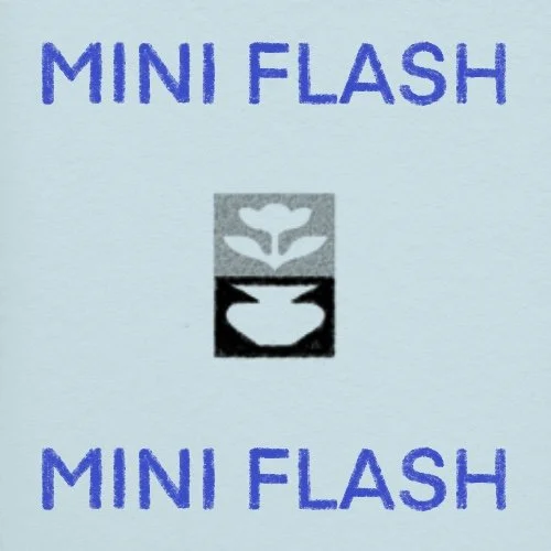 Flash répétable/repeatable • 2 po/in • 240$+tx