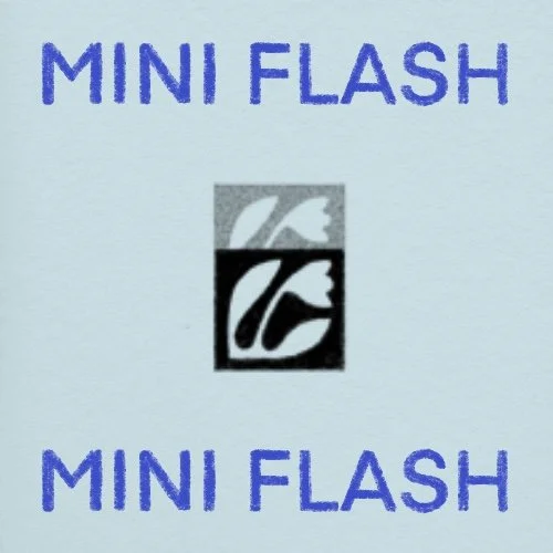 Flash répétable/repeatable • 2 po/in • 240$+tx