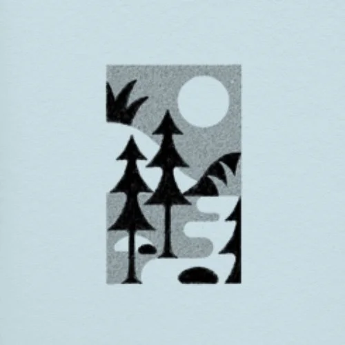 Flash unique/not repeatable • 3 - 4 po • 280 - 340$+tx