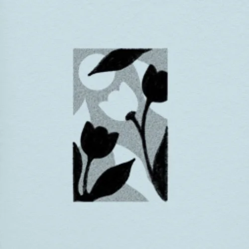 Flash répétable/repeatable • 3 - 4 po • 280 - 340$+tx