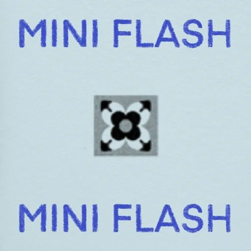 Flash répétable/repeatable • 1 - 2 po/in • 200$+tx