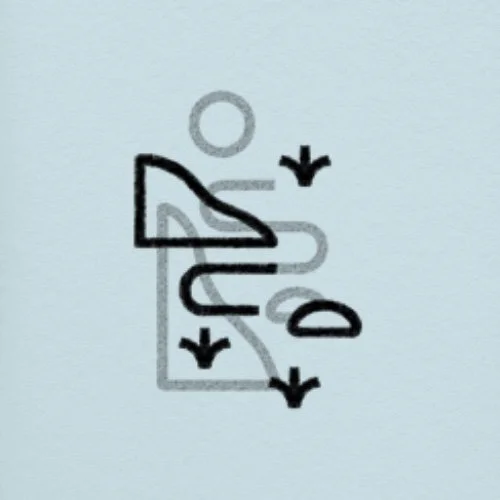 Flash unique / not repeatable • 3 po/in • 240 - 260$+tx