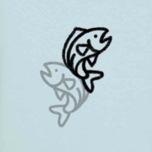 Flash unique/not repeatable • 3 - 4 po/in • 260 - 280$+tx