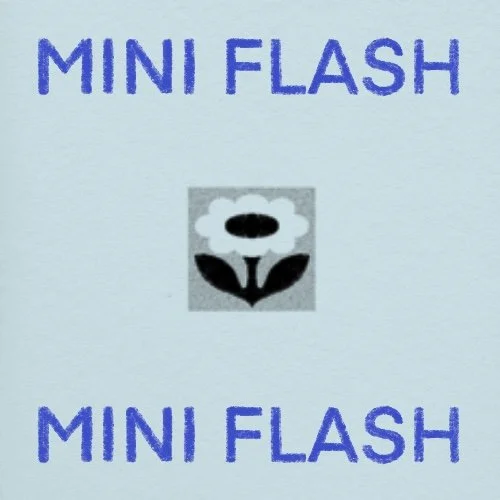 Flash répétable/repeatable • 1 - 2 po/in • 220$+tx