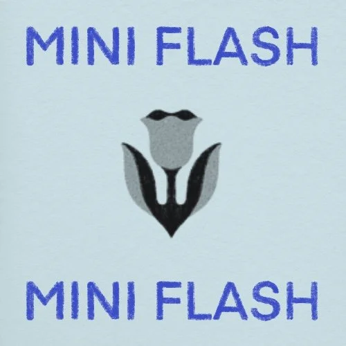 Flash répétable/repeatable • 1 - 2 po/in • 220$+tx