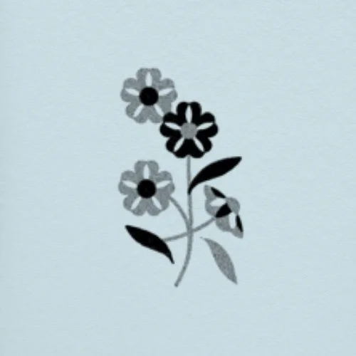 Flash répétable / repeatable • 3 - 4 po/in • 260 - 300$+tx